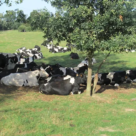 Spacieuse Maison Au Jardin A La Ferme - 12 Pers. - Fr-1-510-251